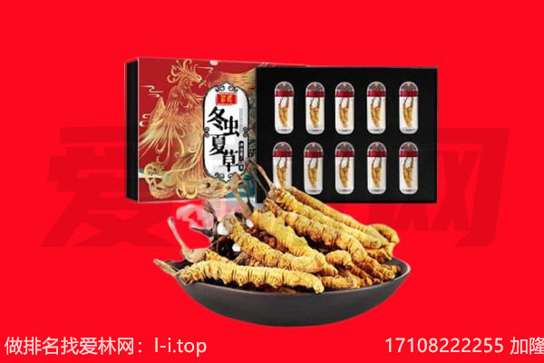 临沧市双江回收虫草.jpg